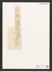 Encyonema gracile Rabenh. (de-Toni-Nr.: Genus 34, Species 1493) Zeichnungen Sammlung Grunow (NHMW-BOT-W0370218)